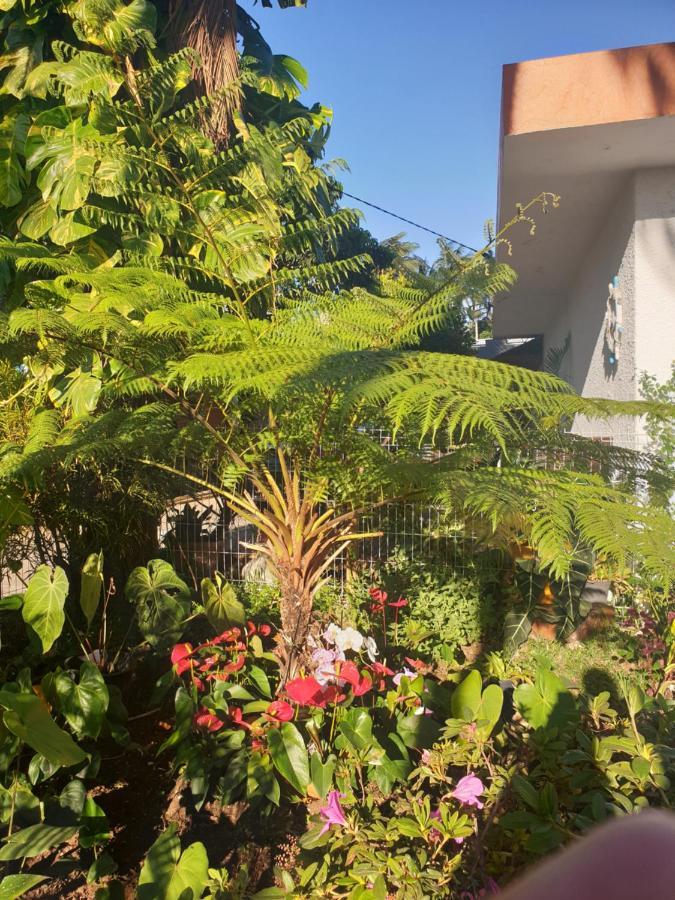 דירות לה טאמפון Couleurs Des Iles מראה חיצוני תמונה